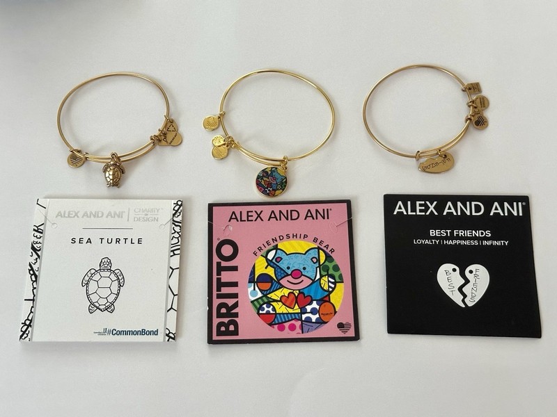 ALEX AND ANI Lot of 3 CHARM BRACELETS Britto Turtle Best Friends BANGLE JEWELRY gallery