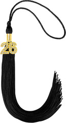 2026 Graduation Tassel, 2026 Graduation Cap Tassel with Bling Charm for 2026 Gra