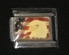 Eagle Head American Flag Wholesale Italian Charm Enamel Link 9MM K60