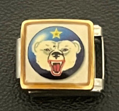 U.S. ARMY ALASKAN COMMAND ITALIAN CHARM (Stainless Steel 9MM)