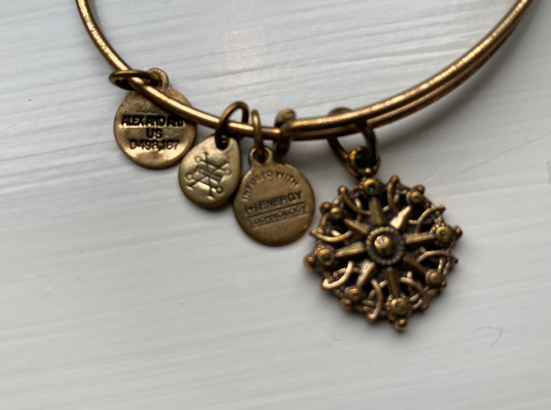 ALEX AND ANI Compass Bracelet Gold Tone Bangle & Charm Ships FREE w/Gift Bag gallery