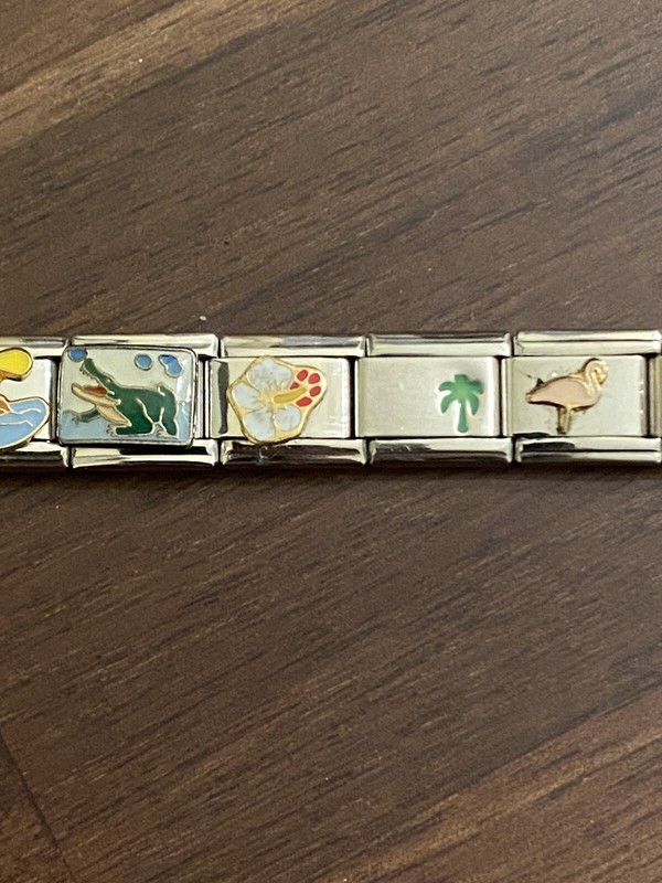 20 Charm Florida / Tropical- Italian Charm Bracelet New gallery