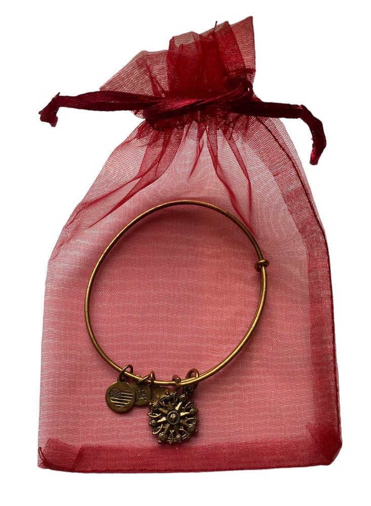 ALEX AND ANI Compass Bracelet Gold Tone Bangle & Charm Ships FREE w/Gift Bag