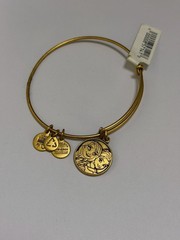 Alex and Ani Gold-Tone Frozen Sisters Character Bangle Bracelet