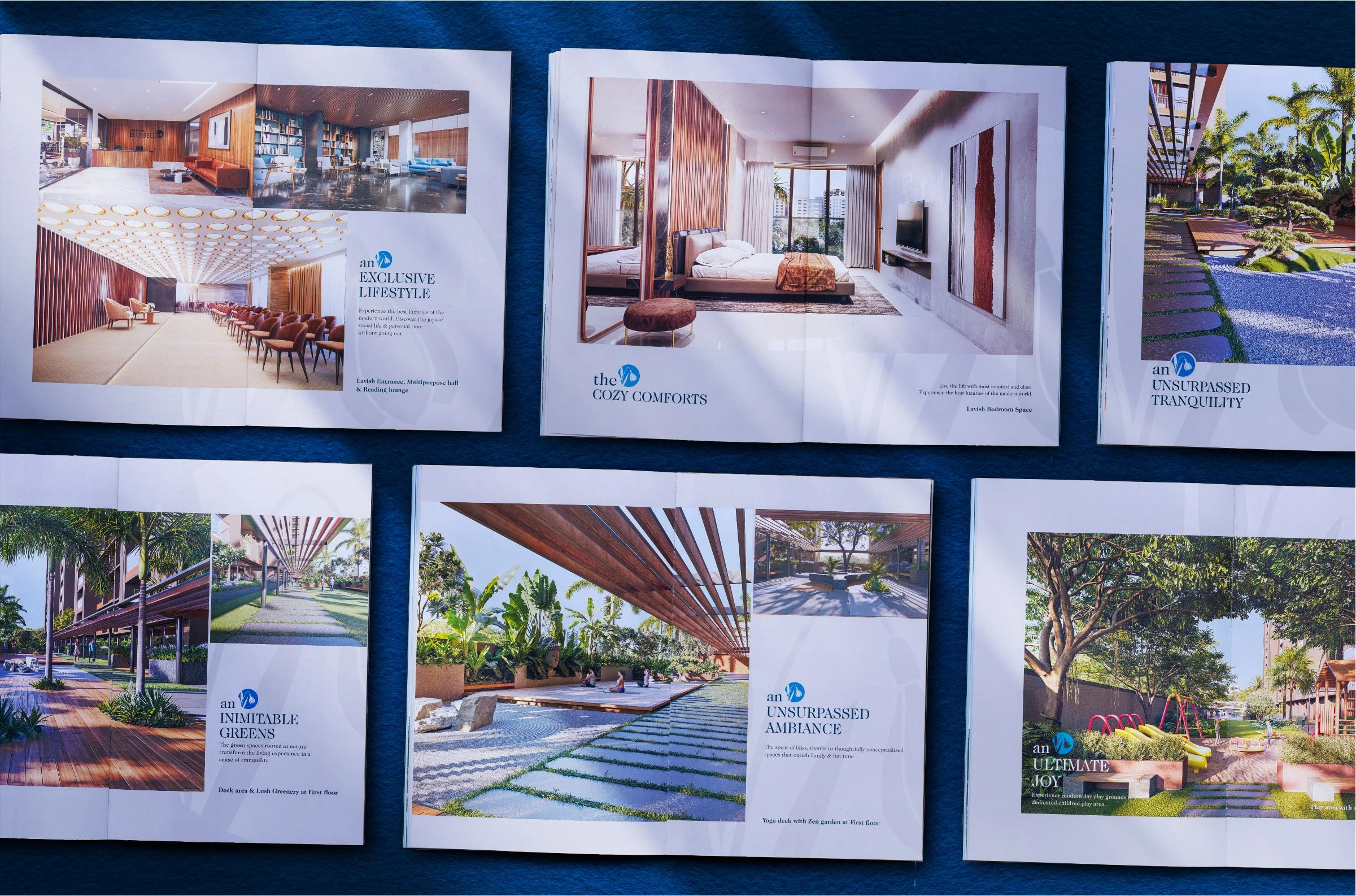Praharsh Bluebell — 7